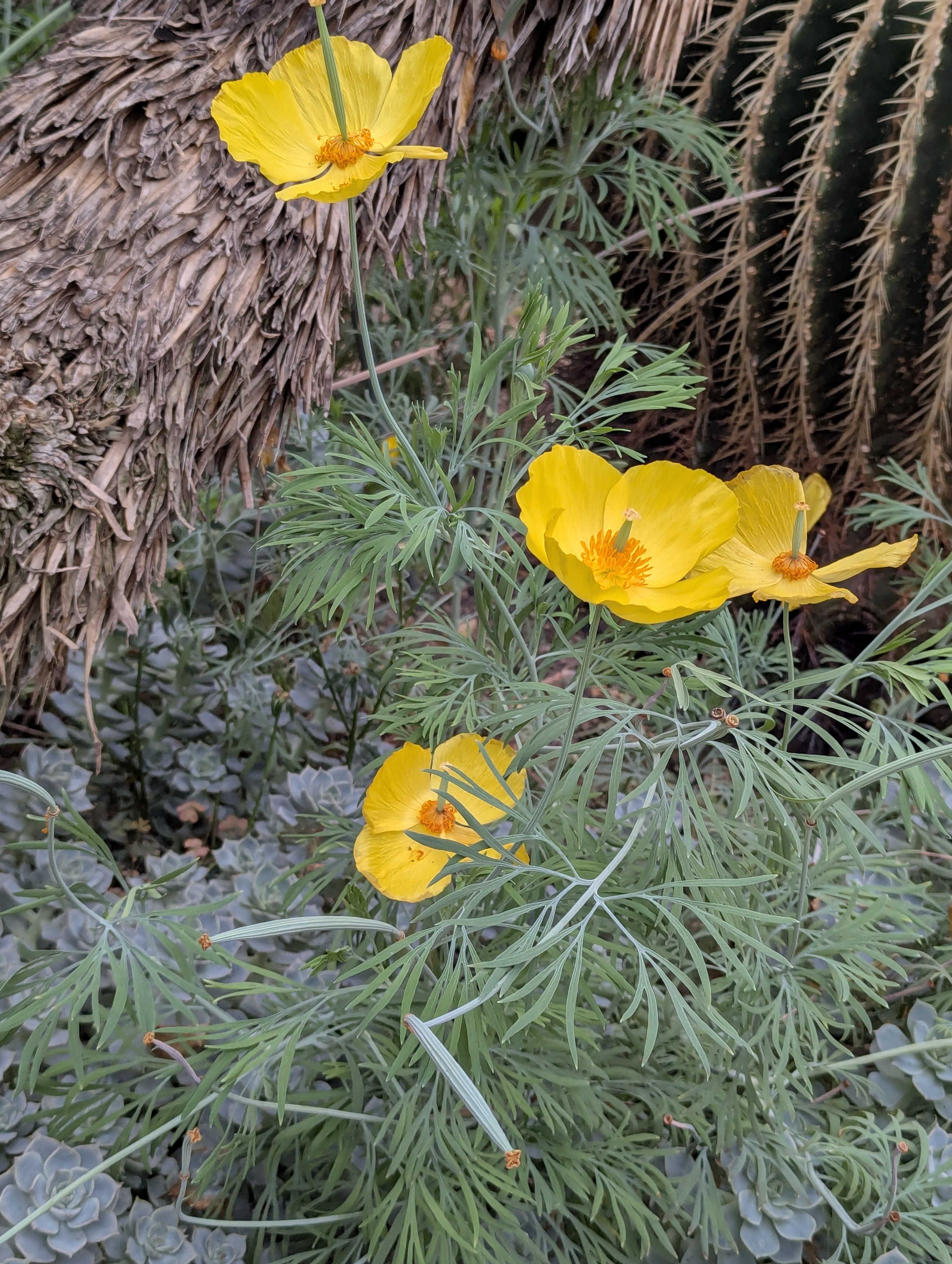 Botonic Gardens, Muenster, Germany